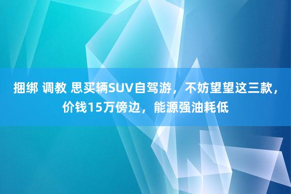 捆绑 调教 思买辆SUV自驾游，不妨望望这三款，价钱15万傍边，能源强油耗低