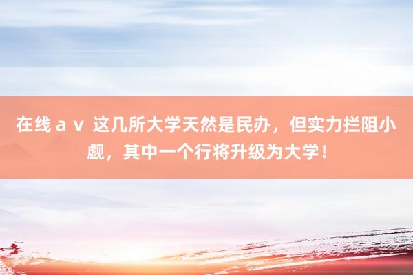 在线ａｖ 这几所大学天然是民办，但实力拦阻小觑，其中一个行将升级为大学！