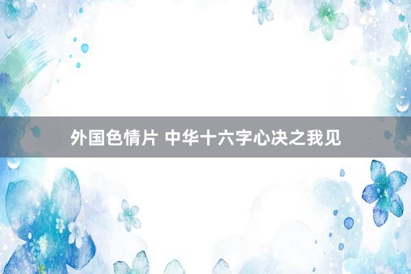 外国色情片 中华十六字心决之我见