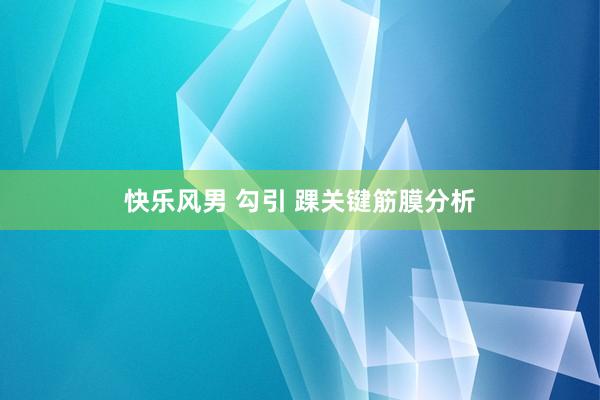 快乐风男 勾引 踝关键筋膜分析
