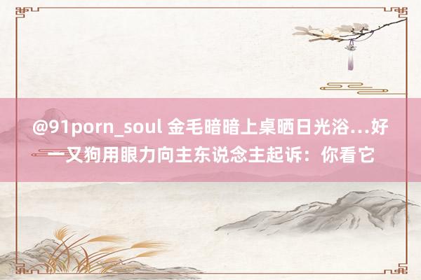 @91porn_soul 金毛暗暗上桌晒日光浴…好一又狗用眼力向主东说念主起诉：你看它