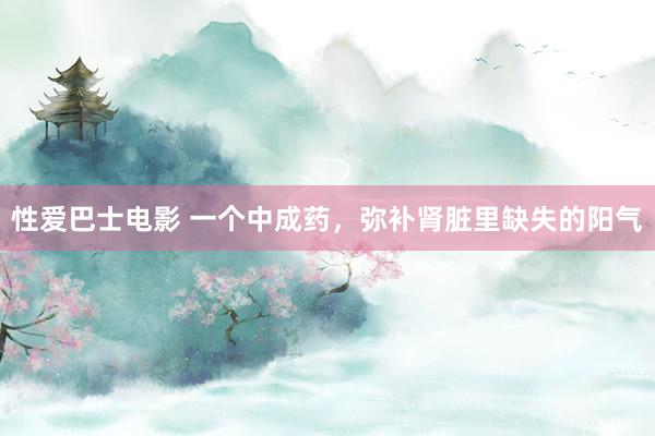 性爱巴士电影 一个中成药，弥补肾脏里缺失的阳气